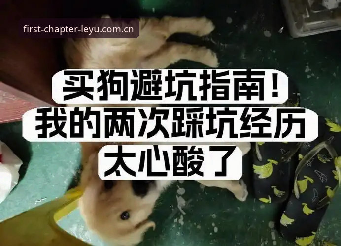 乐鱼APP怎么登录 乐鱼APP登录避坑指南:9成新手都踩过这3个雷